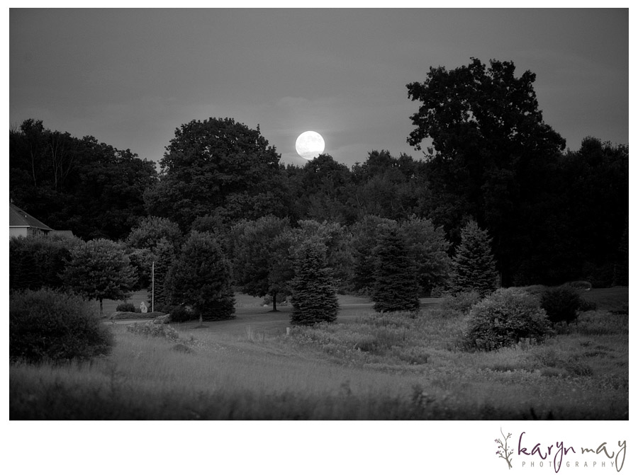 IMG_1133 IMG_1133