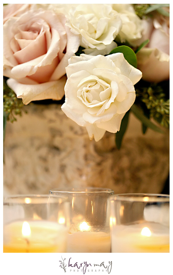 IMG_0559 IMG_0559